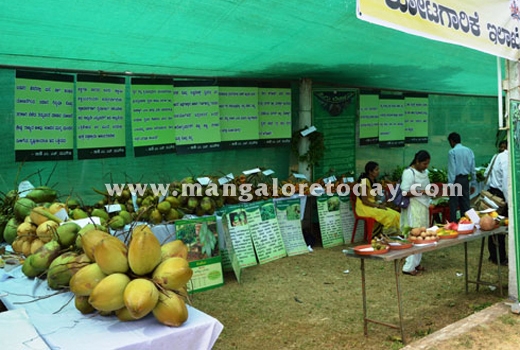 flower show15